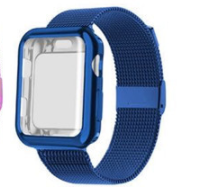 Magnetic watch band